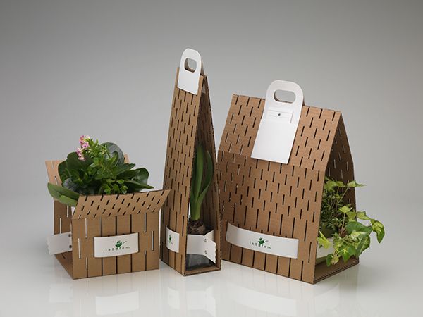 طراحی بسته بندی سبزیجات - گروه طراحی آمود - vegtebles packaging design - amood design group