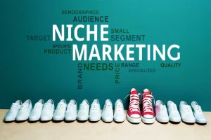 تصویری از نیچ مارکتینگ - a picture of Niche Marketing